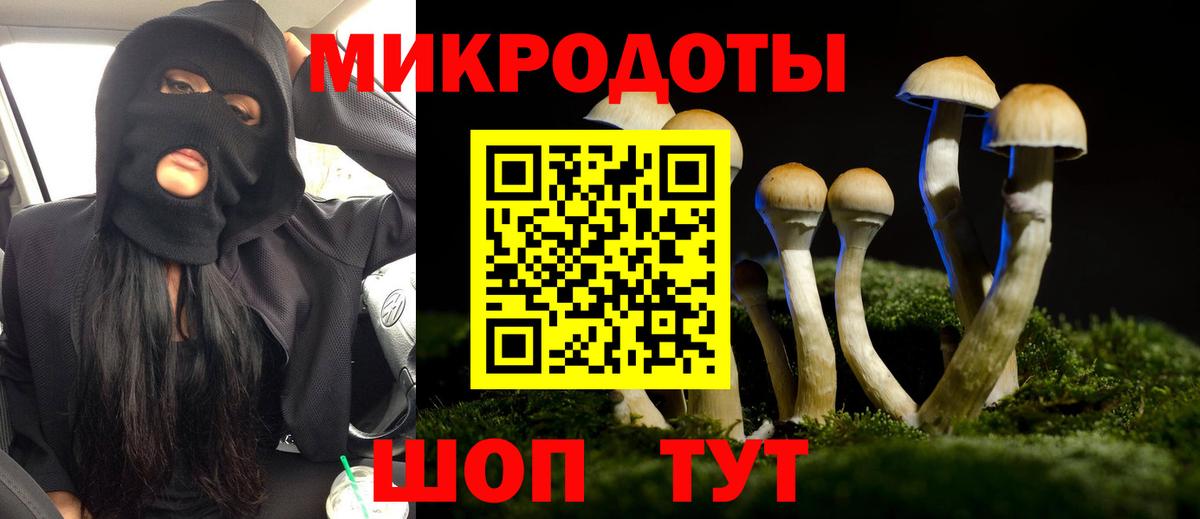 Галлюциногенные грибы прущие грибы Нарьян-Мар
